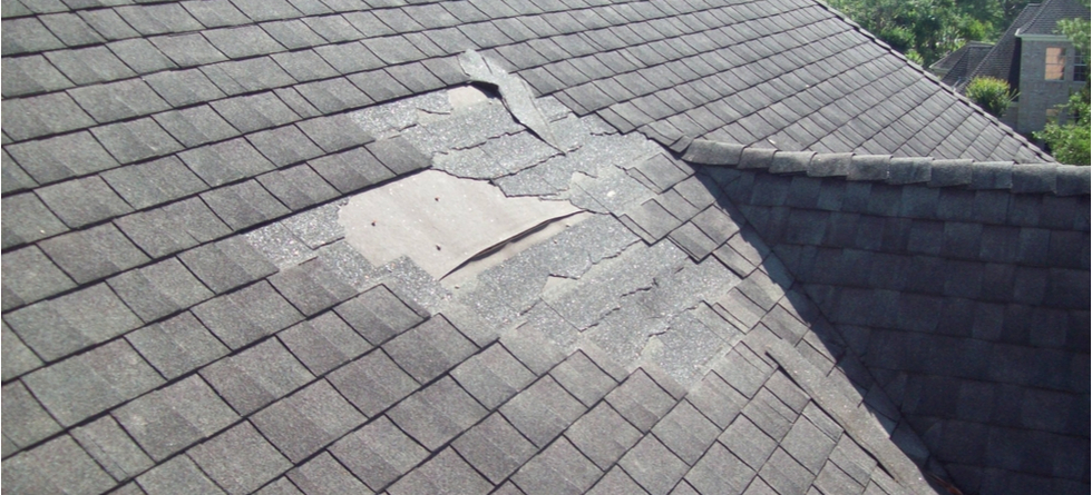 Should You Buy A House With Roof Damage?