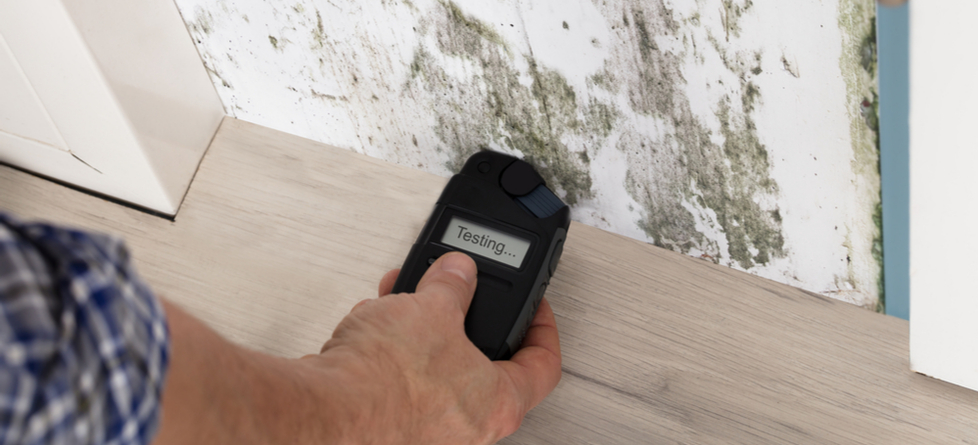How Long Does It Take To Test A House For Mold?