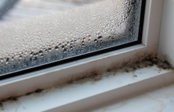 Will Homeowners Insurance Cover Mold?